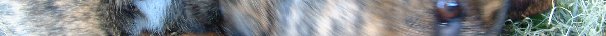 Picture 578prove.jpg (8527 bytes)