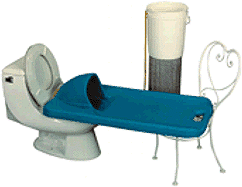 boardontoilet.gif (14646 bytes)