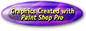 Paint Shop Pro button